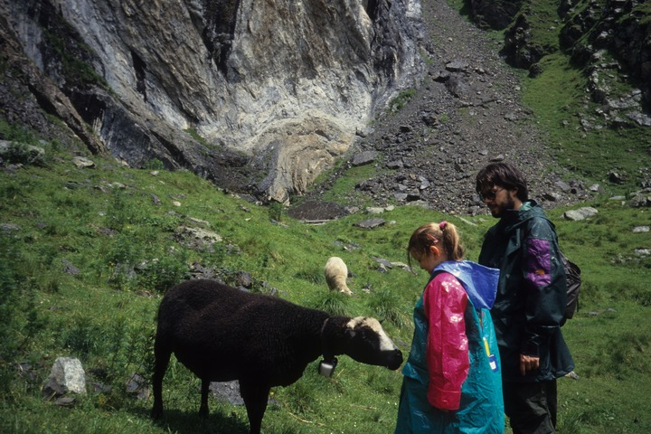 slideshow image