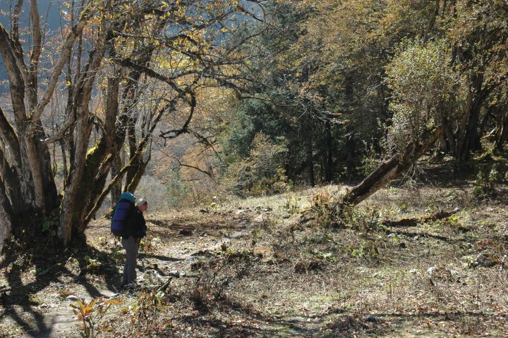 slideshow image