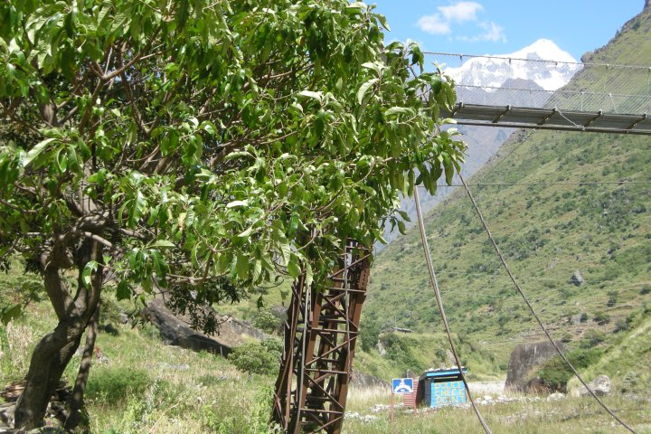 slideshow image