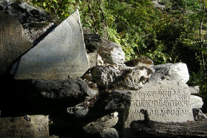 slideshow image