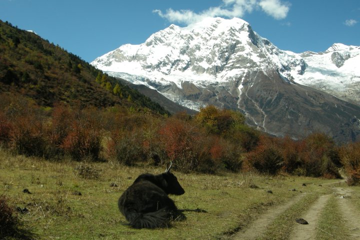 slideshow image