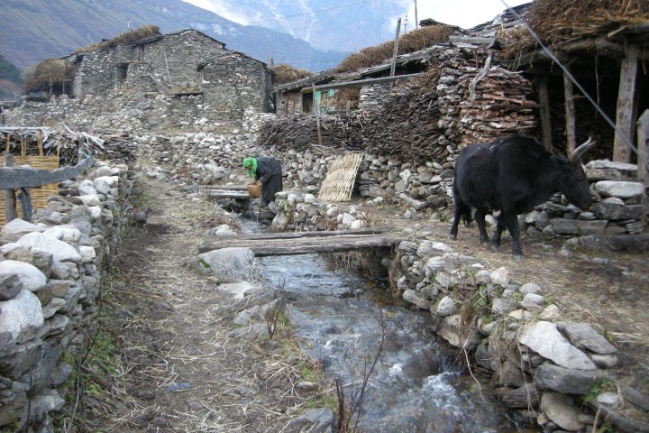 slideshow image