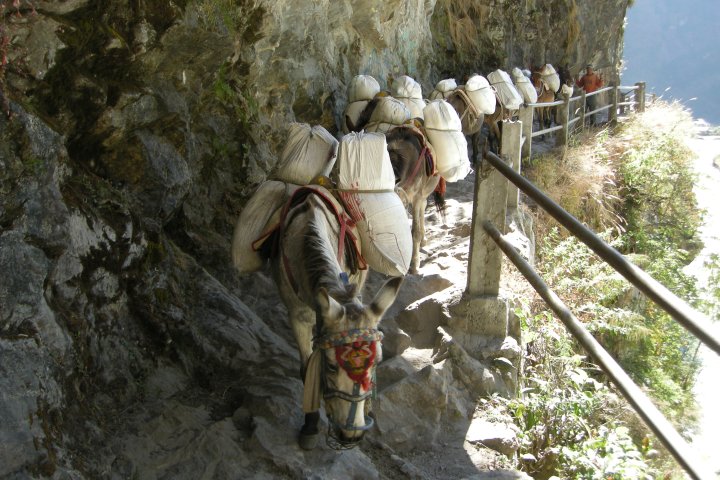 slideshow image