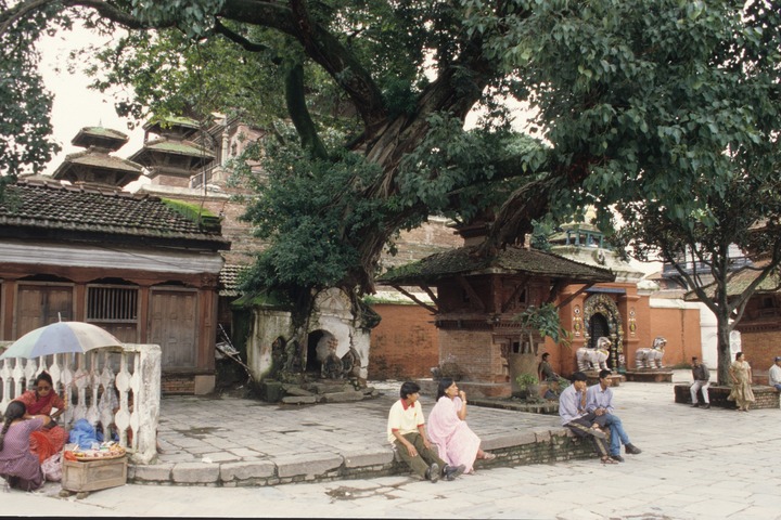 slideshow image