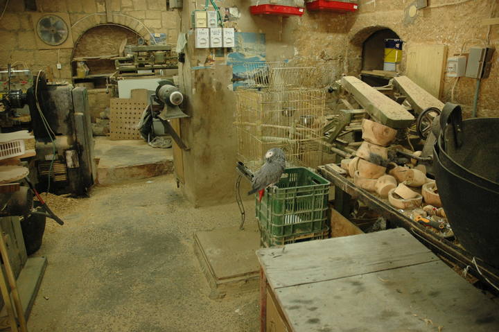 slideshow image