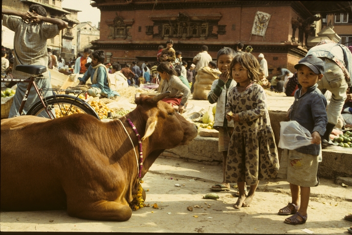 slideshow image
