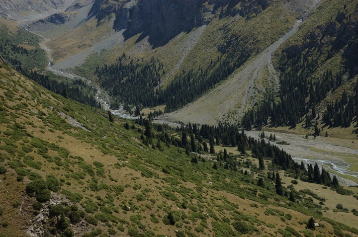 slideshow image